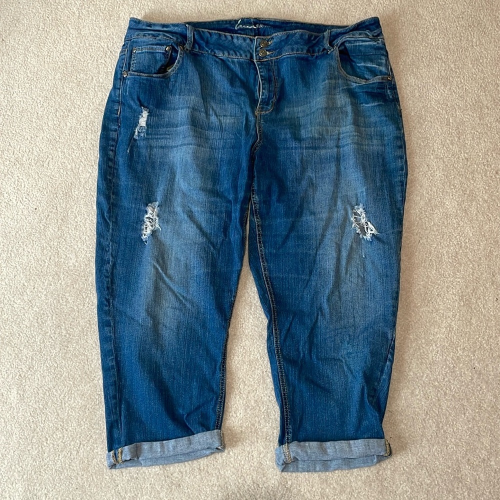 Lane Bryant | jeans